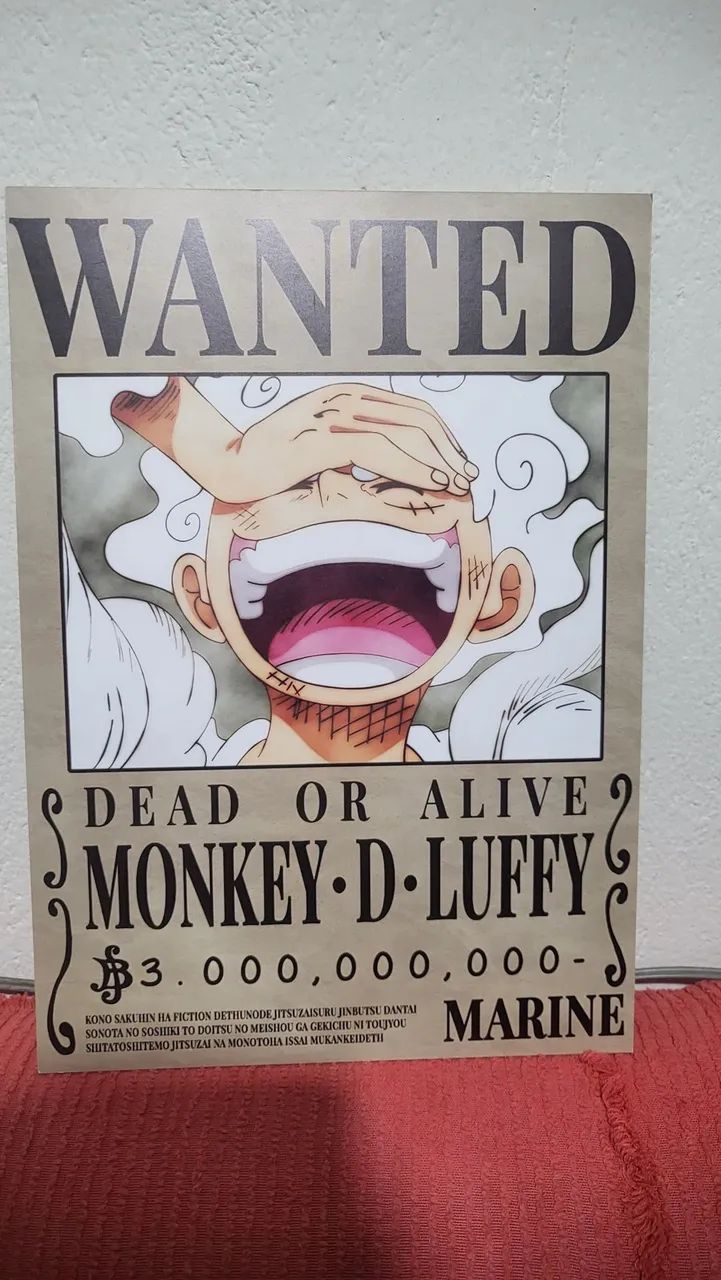 Quadro Luffy