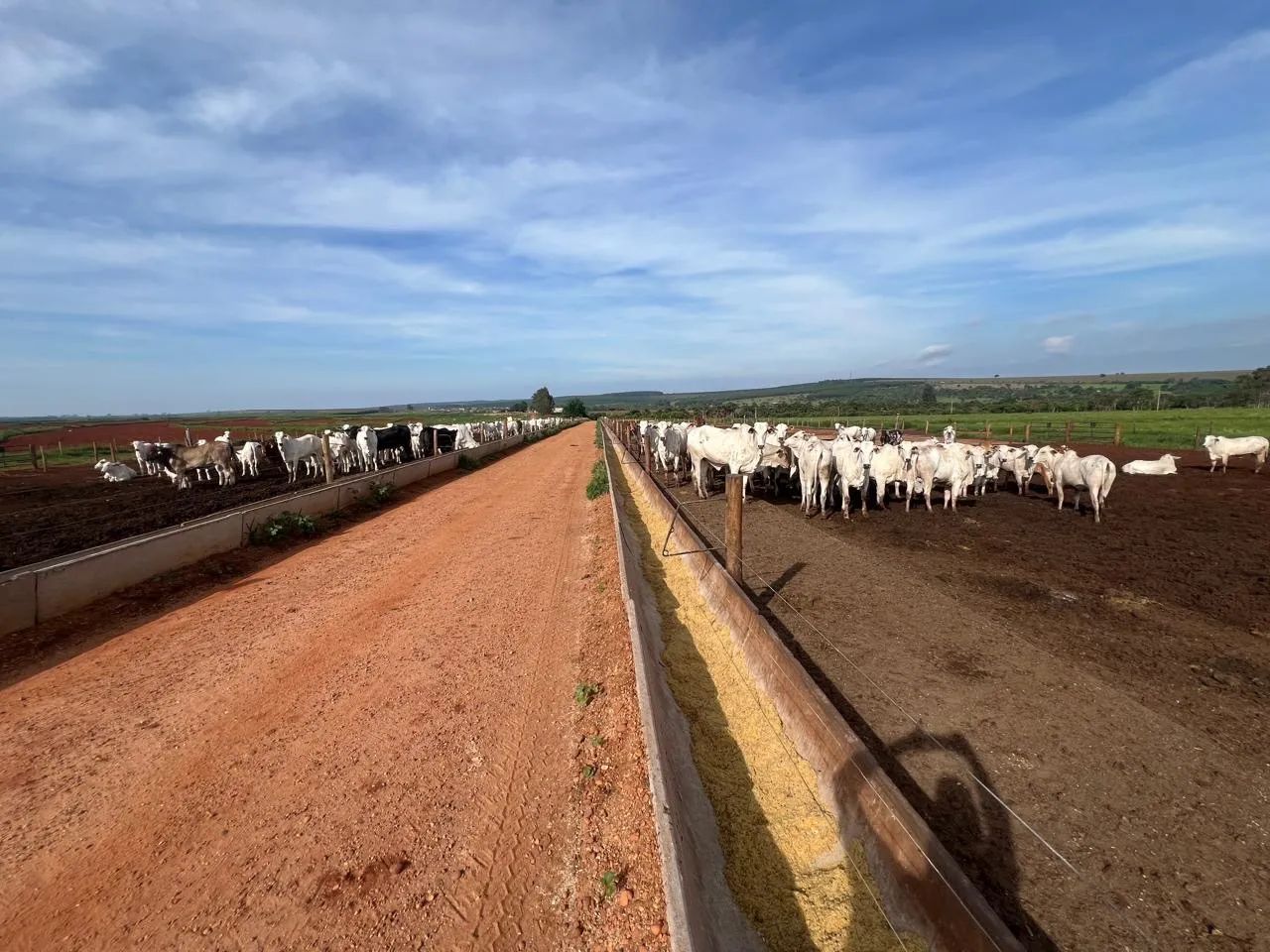 Fazenda com confinamento Uberlandia  - Foto 5