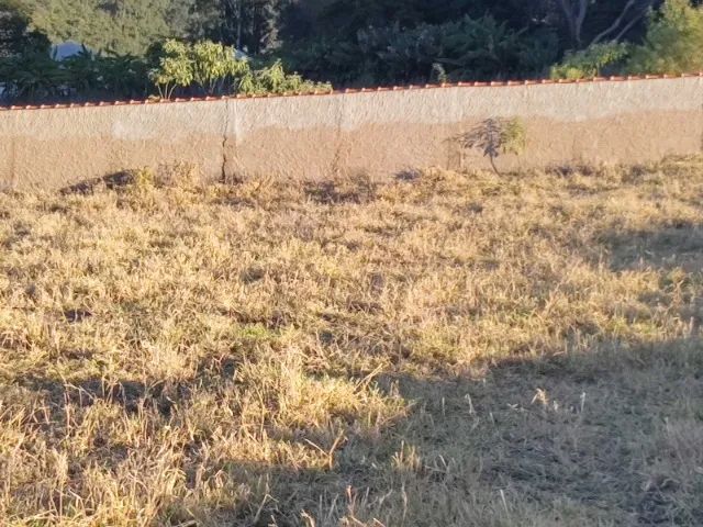 Chácara Souza Lima - Foto 4