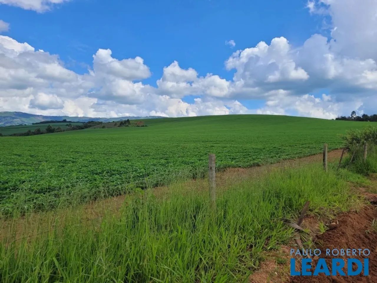 FAZENDA - CENTRO - MG - Foto 3