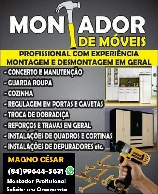 Montador de Móveis Profissional 