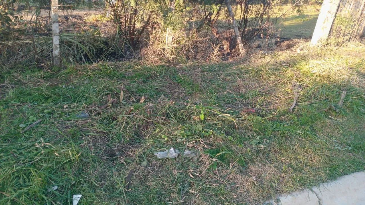 ROÇAGEM E PODAS - Foto 3