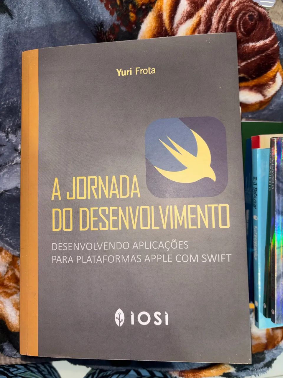 A jornada do desenvolvimento - Yuri Frota