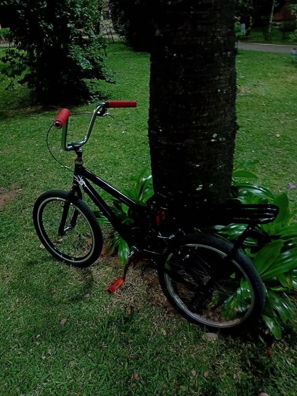 montadinha pra grau