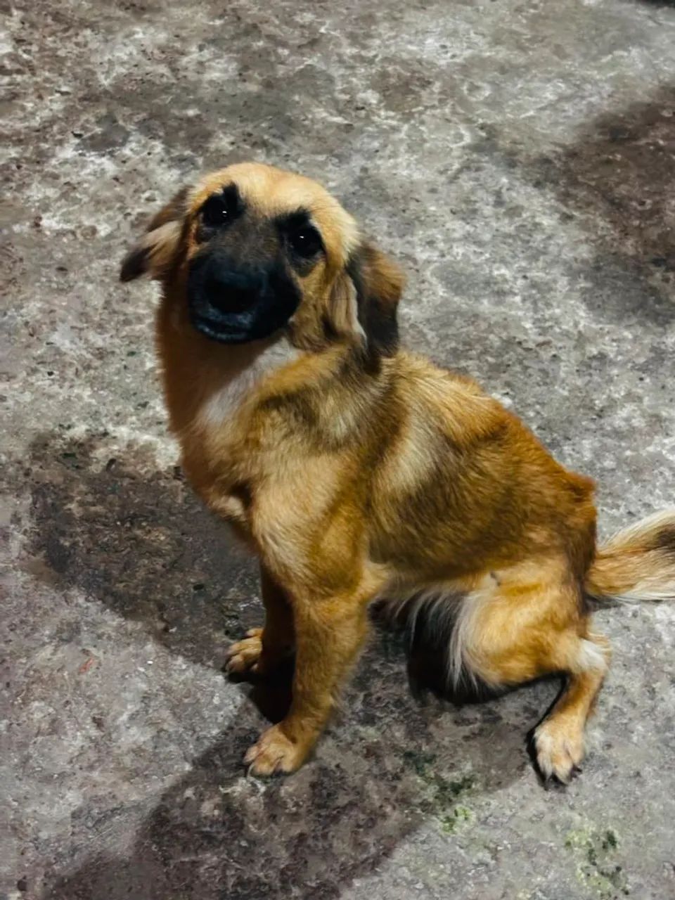 Procura se  - Foto 2