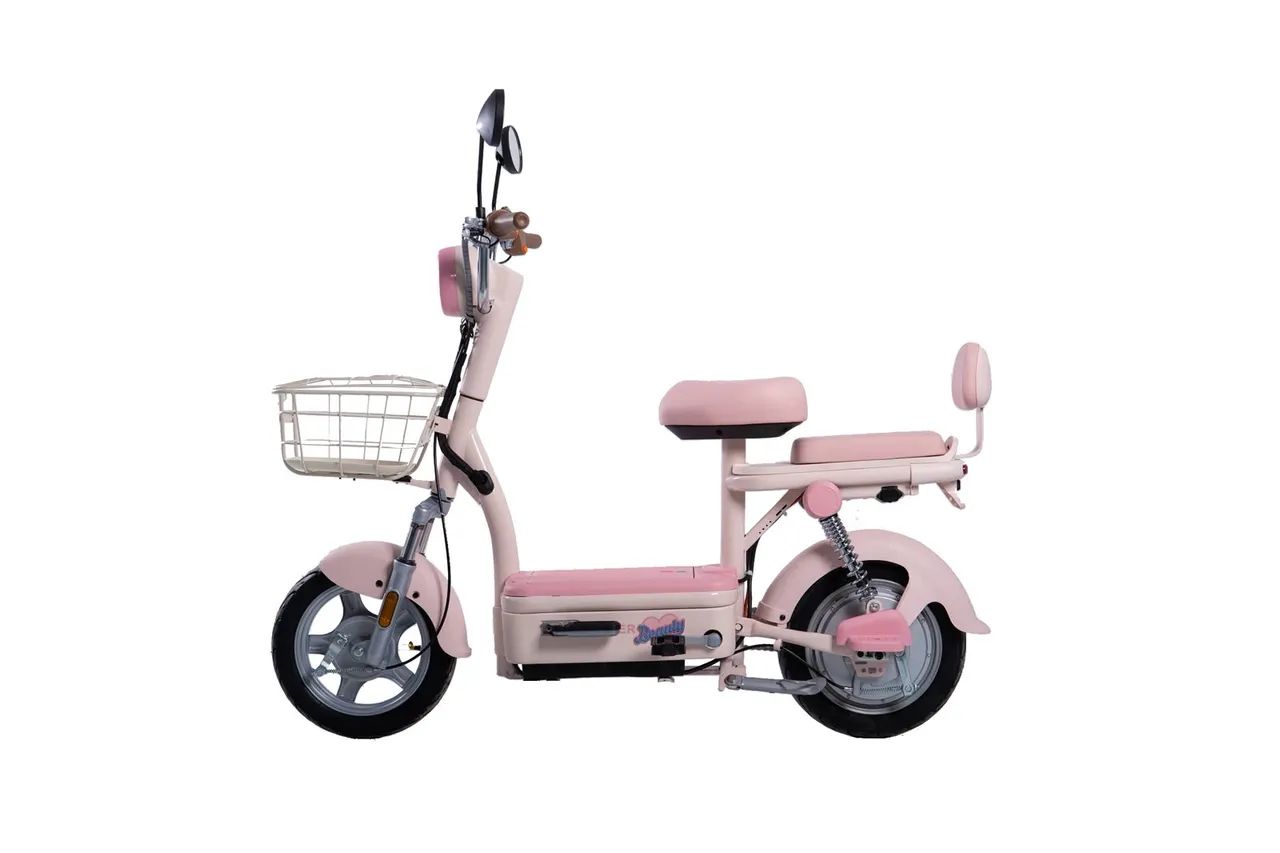 Bicicleta elétrica Z2 500W