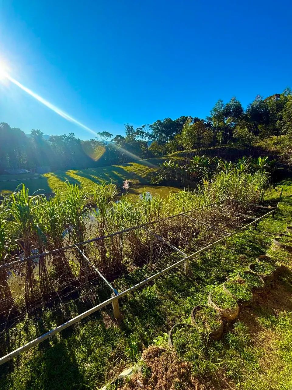 Sítio a venda em MAJOR GERCINO SC  - Foto 5