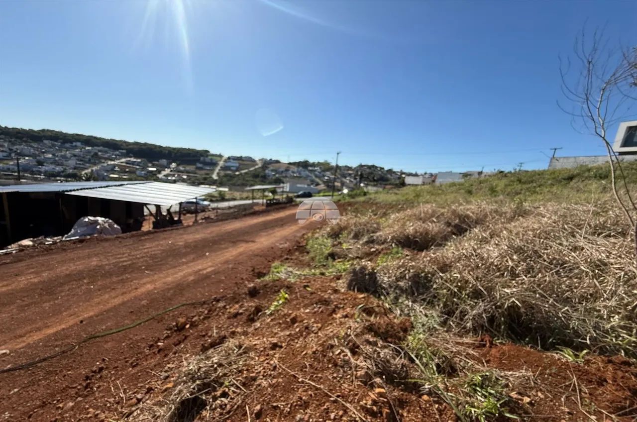 Vendas Terreno Pato Branco PR - Foto 4