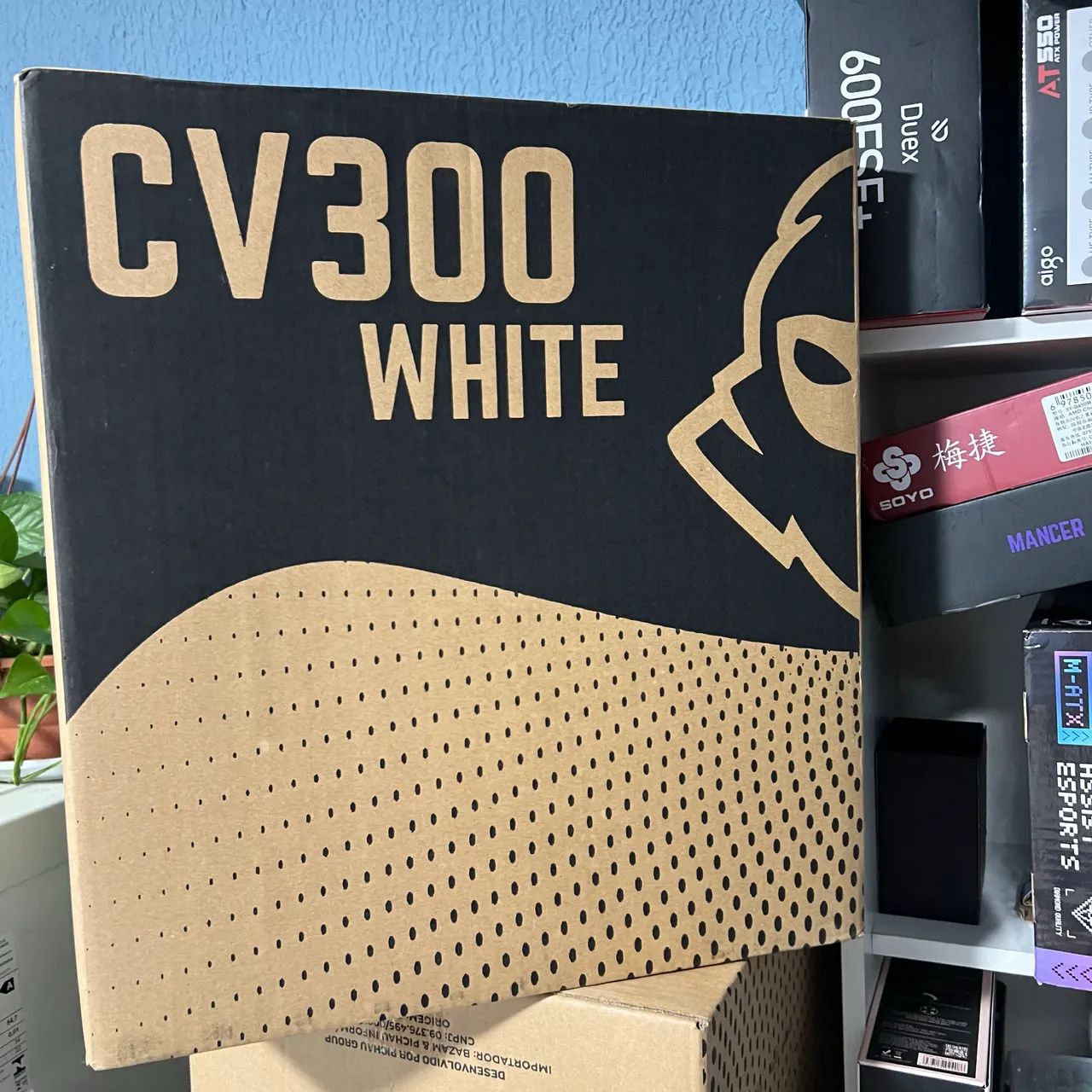 Cv 300 purple edition  - Foto 2