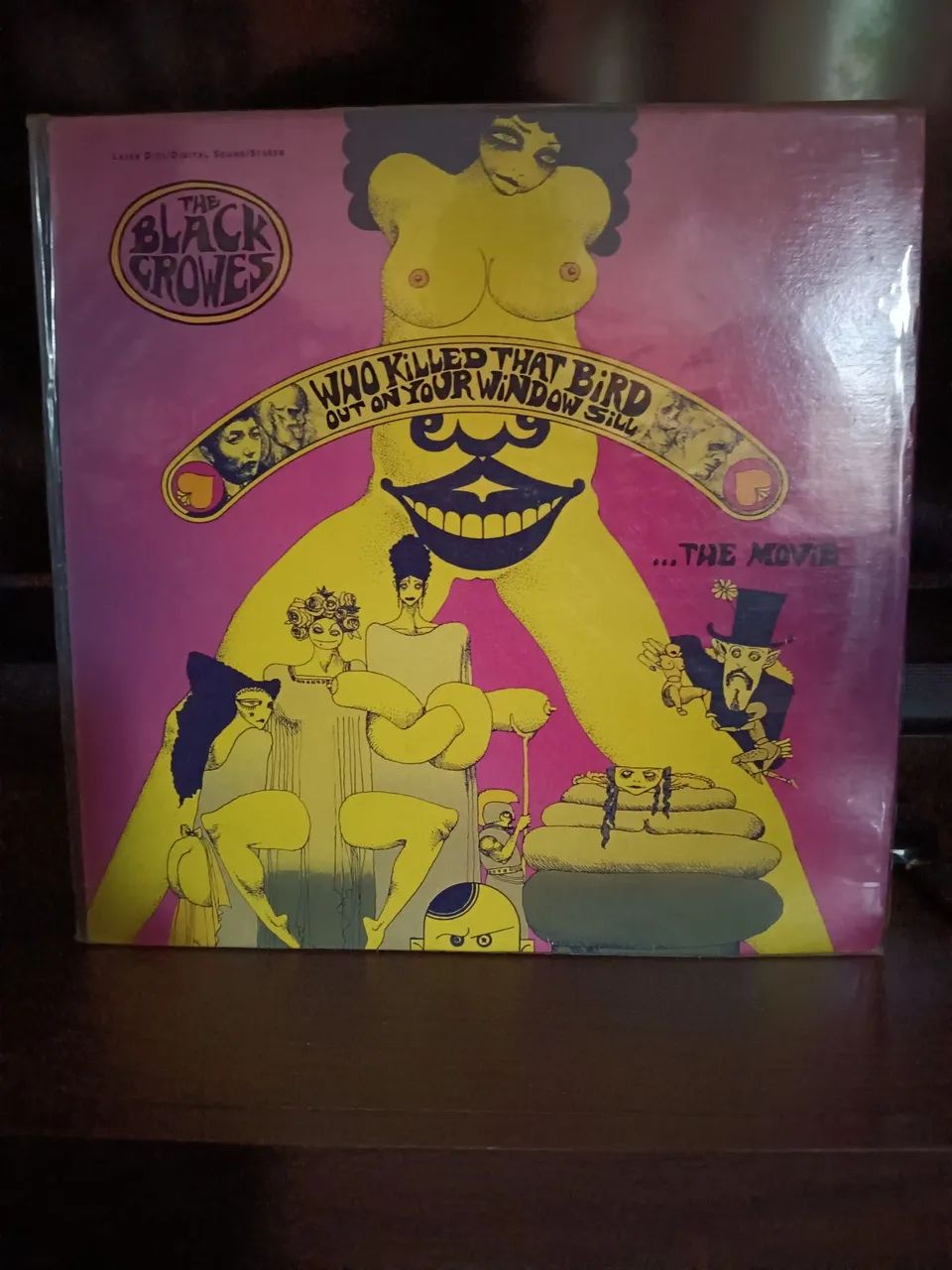 Laser Disk BLACK CROWES THE MOVIE