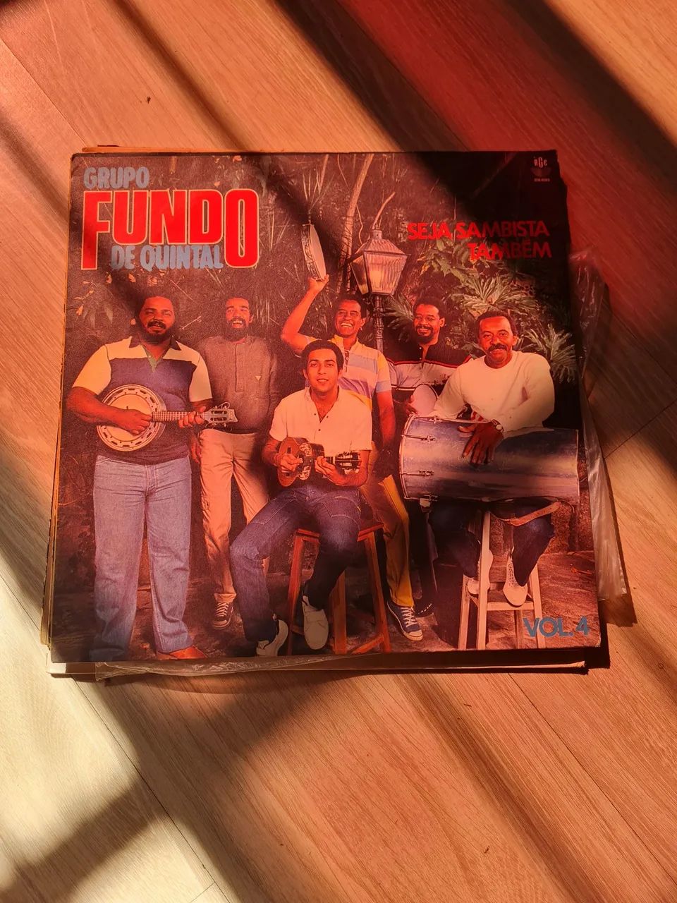 Disco vinil fundo de quintal