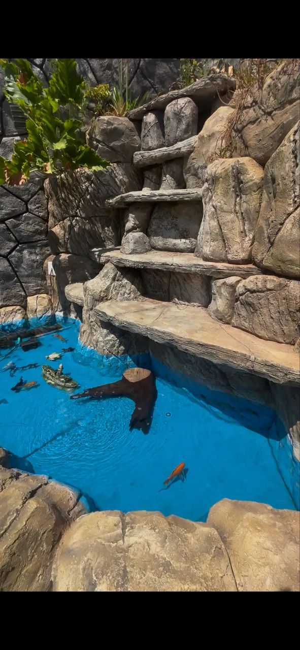 Chácara com Piscina Aquecida, 4 Quartos, 3 Suítes - Foto 4