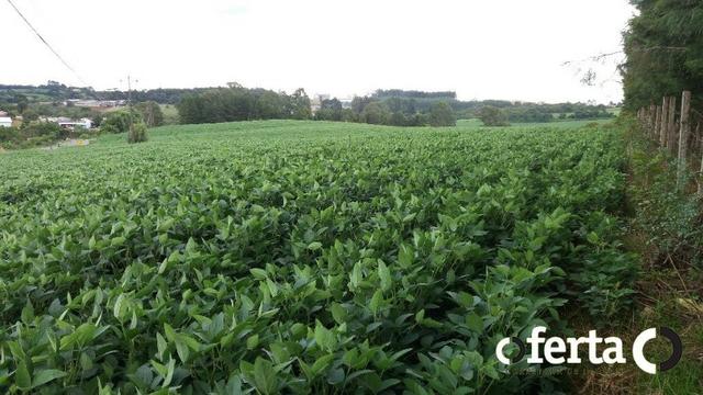 Terreno em Contenda 23.000 m2 na faixa de Comércio e Serviço - Foto 6