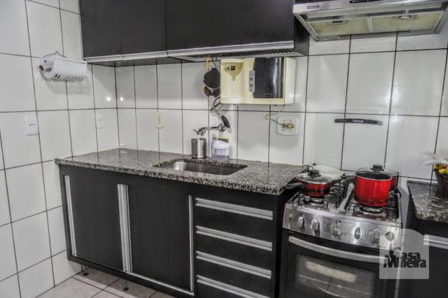Casa à venda com 3 dormitórios em Alto caiçaras, Belo horizonte cod:244718 - Foto 11