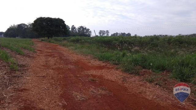 Terreno residencial à venda, Zona Rural, Cosmópolis. - Foto 6