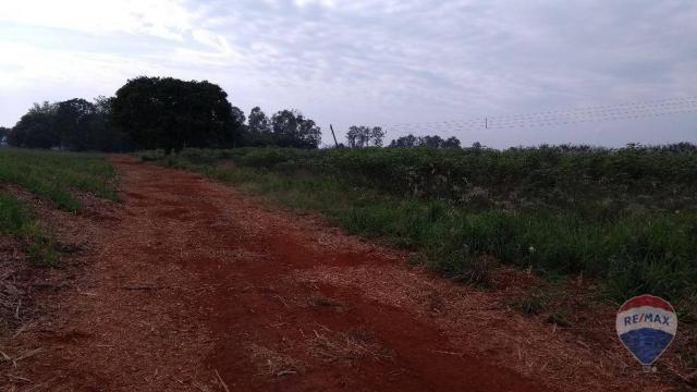 Terreno residencial à venda, Zona Rural, Cosmópolis. - Foto 5