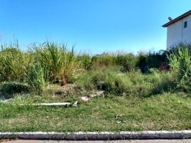 Excelente terreno todo murado com 450m² em área nobre, rua asfaltada, terreno com frente p - Foto 6