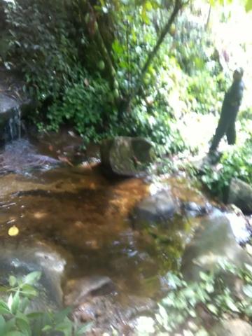 Vendo fazenda em Wenceslau Guimarães - Foto 3