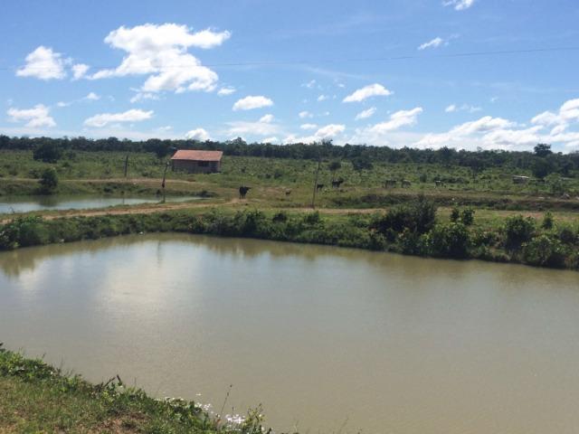 Vendo troco piscicultura montada com 29 tanques, 3 casas, pasto, curral - Foto 5