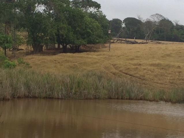 Fazenda 20 - Foto 14