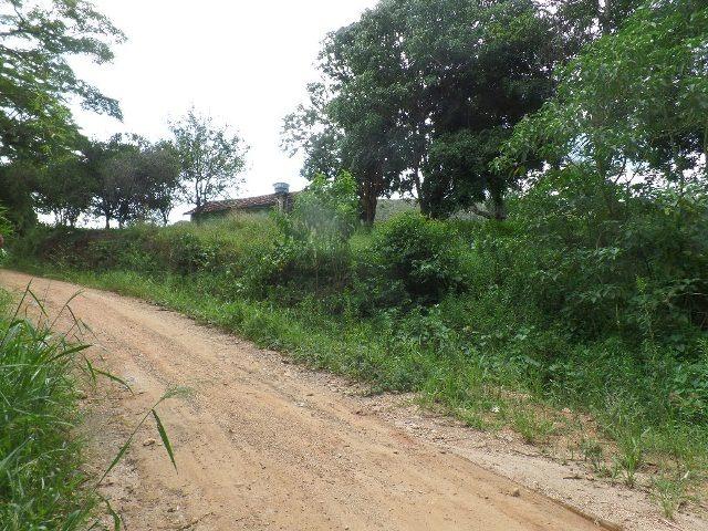 154 - Área de terra em Providência - Foto 17