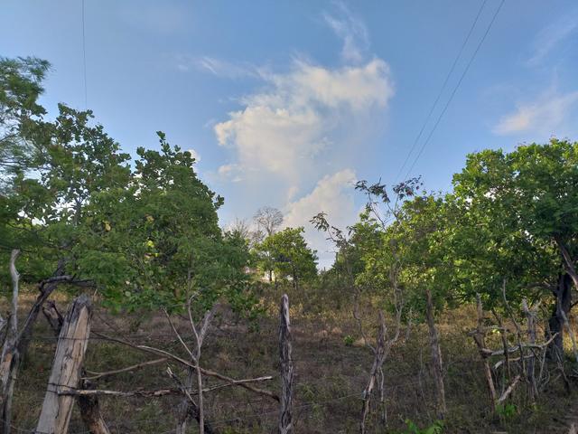 Vende-se uma fazenda - Foto 4