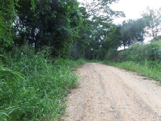 154 - Área de terra em Providência - Foto 18