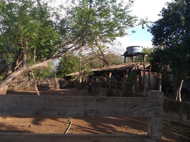 Vende-se uma fazenda - Foto 7