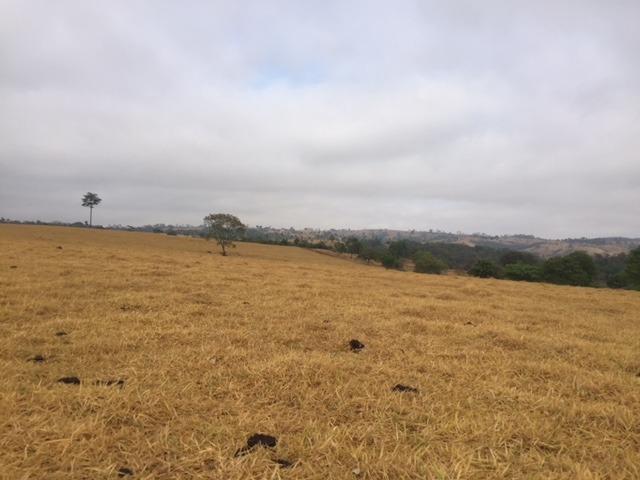 Fazenda 20 - Foto 2