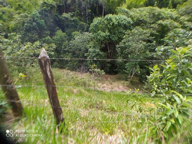 Vendo Fazenda em Rio da Prata - Distrito de Guarapari - Foto 7