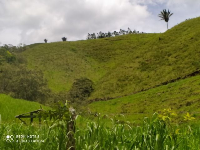 Vendo Fazenda em Rio da Prata - Distrito de Guarapari - Foto 4