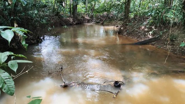 Chácara 50x100 com Igarapé Na Linha 17, BR 319, Sentido Humaitá.