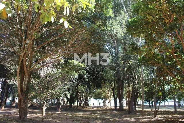 chácara - Centro - Adolfo - Foto 4