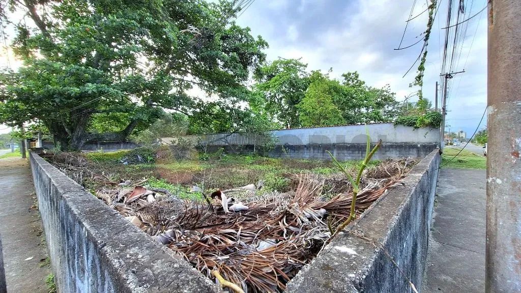 Terreno à venda, 600 m² por R$ 1.060.000,00 - Porto Novo - Caraguatatuba/SP - Foto 9