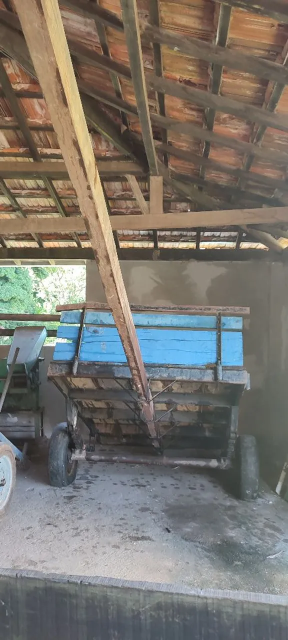 Carroça de boi