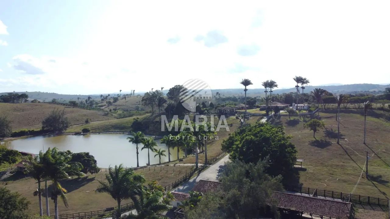 Fazenda à venda com 300 hectares com excelente acesso e uma extraordinária vista!! - Foto 11