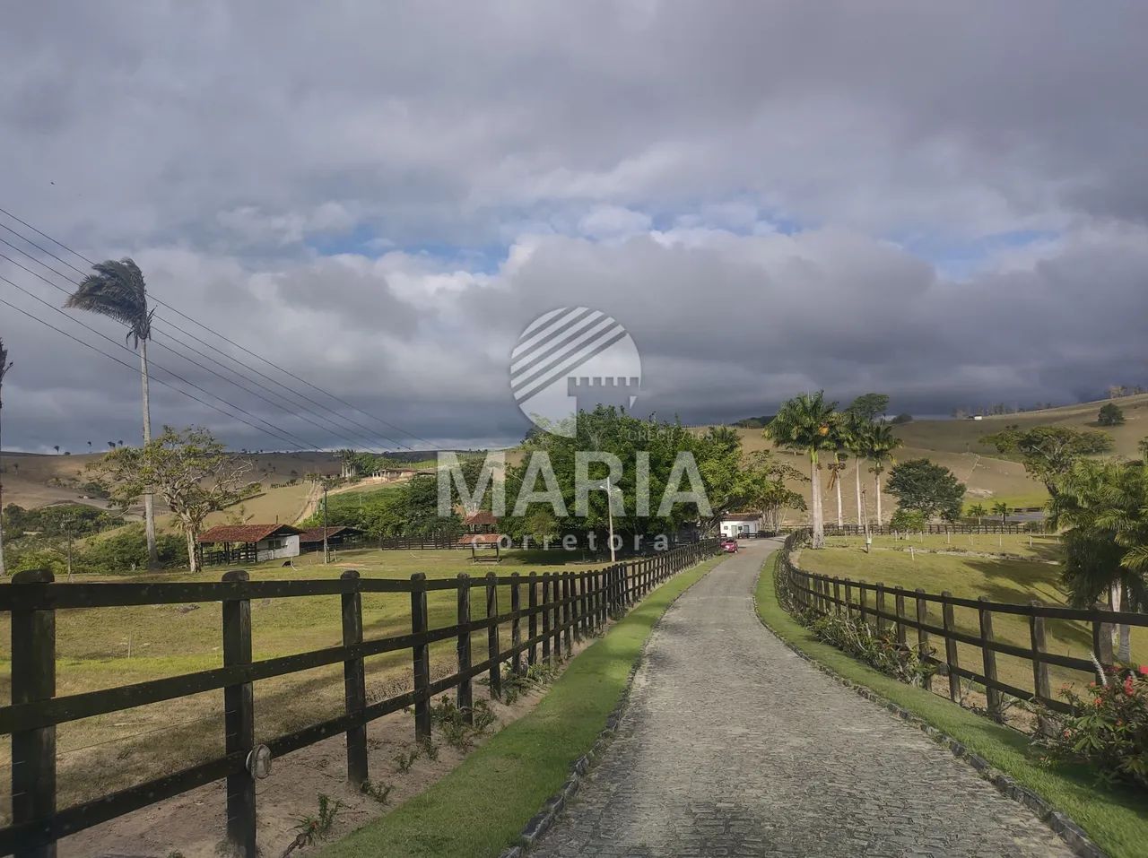 Fazenda à venda com 300 hectares com excelente acesso e uma extraordinária vista!! - Foto 14