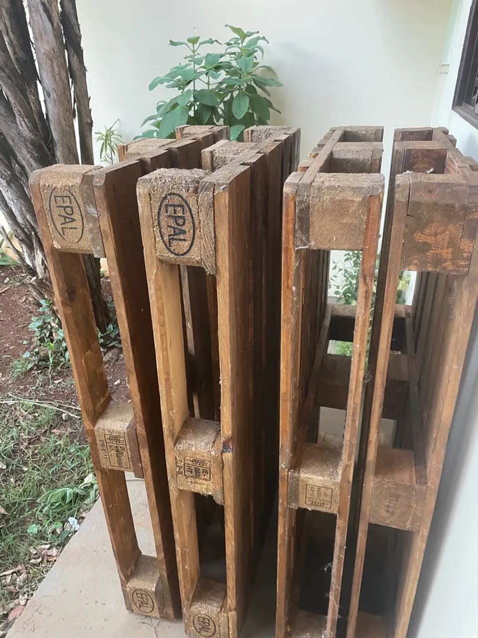 Paletes para doação