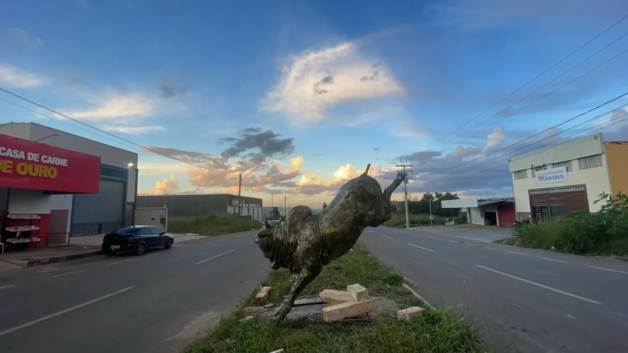 Lote Comercial 280,00m² (Avenida Vicente Rodrigues) Residencial Buena Vista I