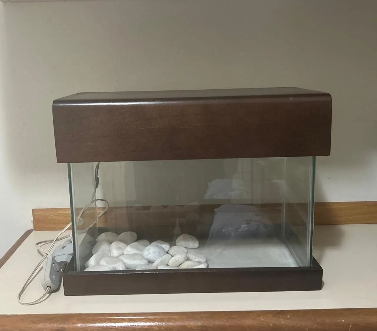 Terrarium Completo com acessórios 