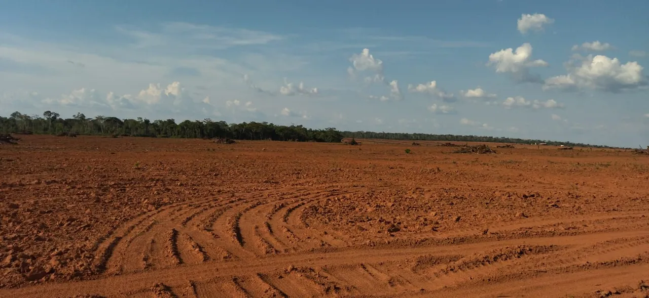 Fazenda 4.892 hect nova maringá MT 1.062hec abertos R$:650 mil sacas de soja