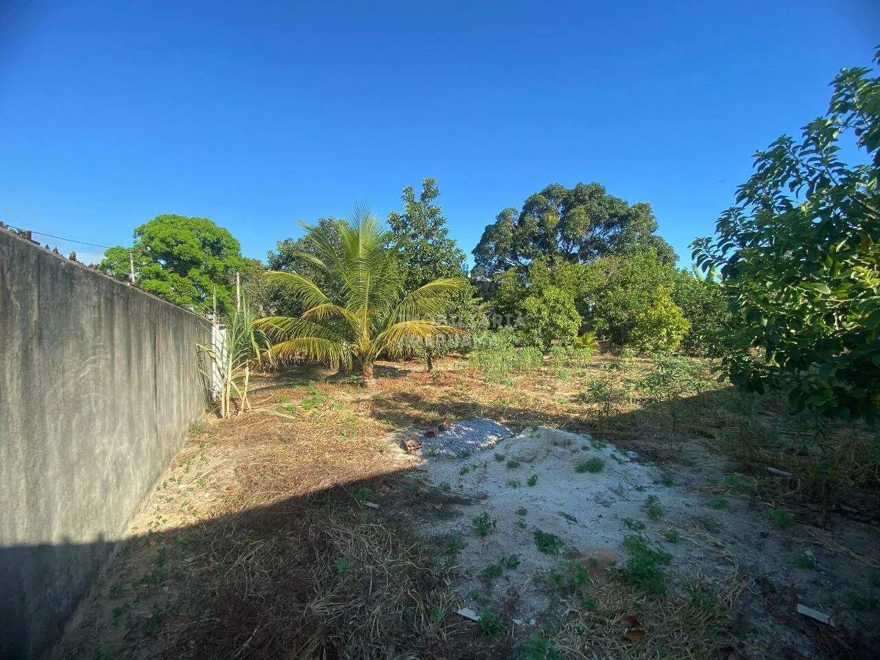 Terreno Amplo com Suíte e Varanda  900m² Murados e com Muito Verde - Foto 3