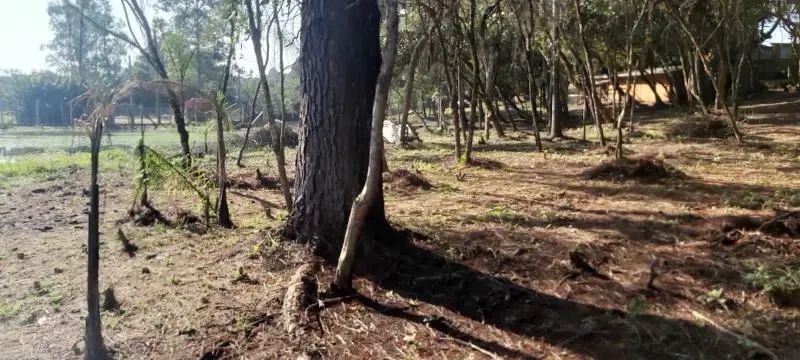 Velleda oferece magnífico sítio com açude próximo ao centro de Viamão - Foto 9