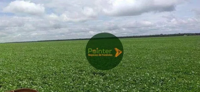 Fazenda à venda, 2450250 m² por R$ 7.000.000,00 - Zona Rural - Paranatinga/MT