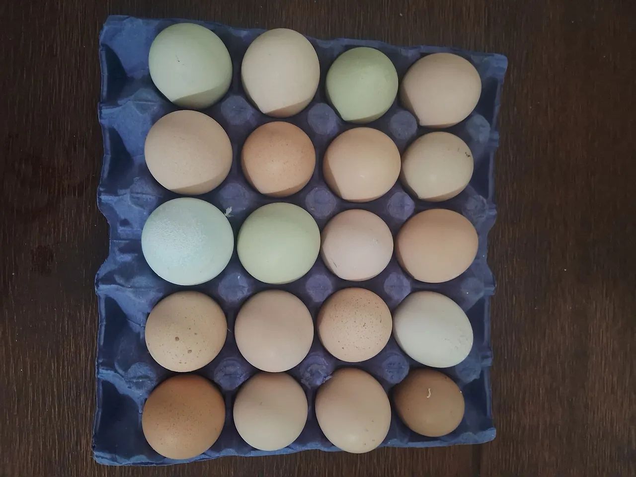 Ovos GSB galinha balão - PROMOÇÃO 