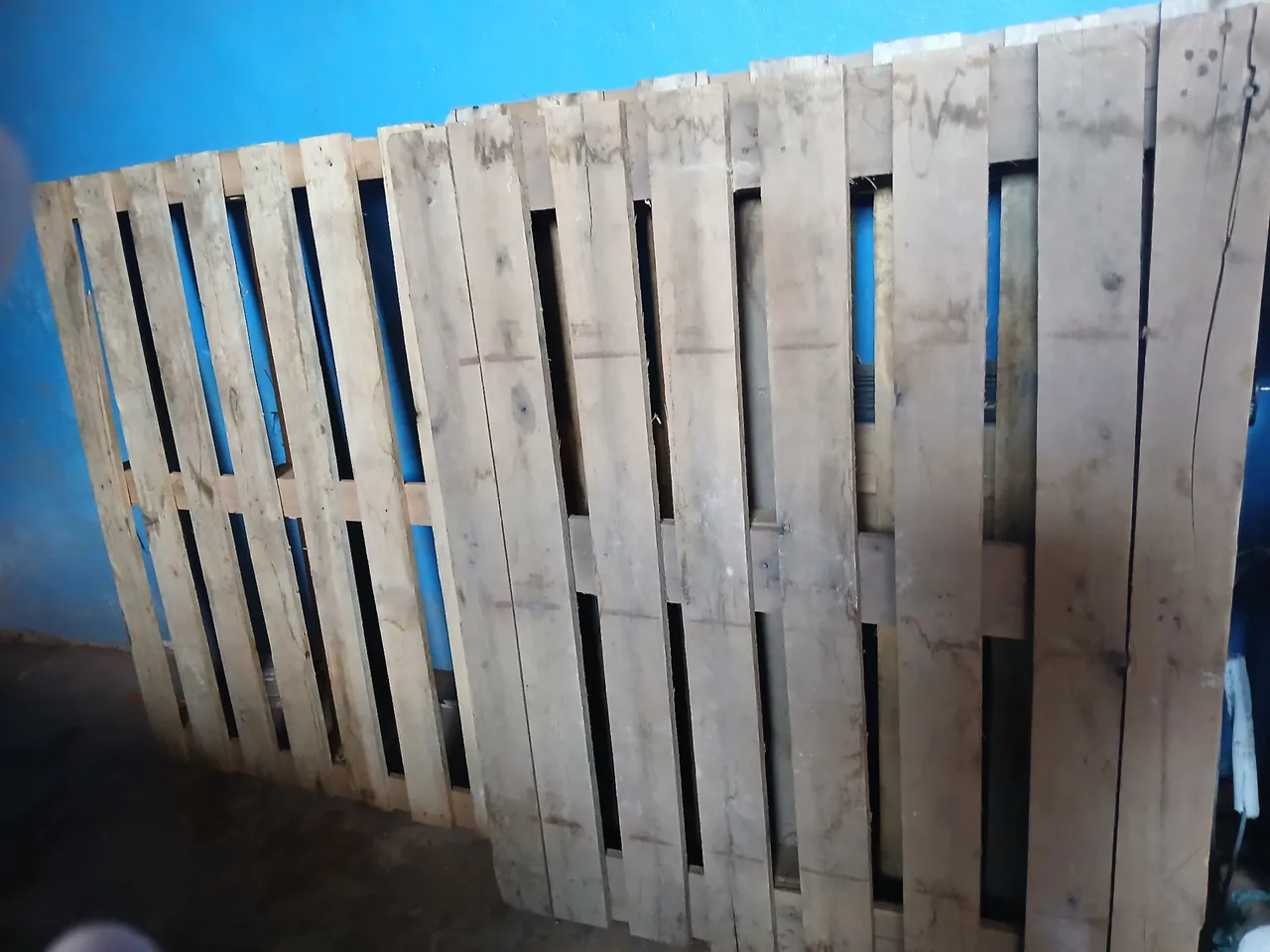 Palletes de Madeira
