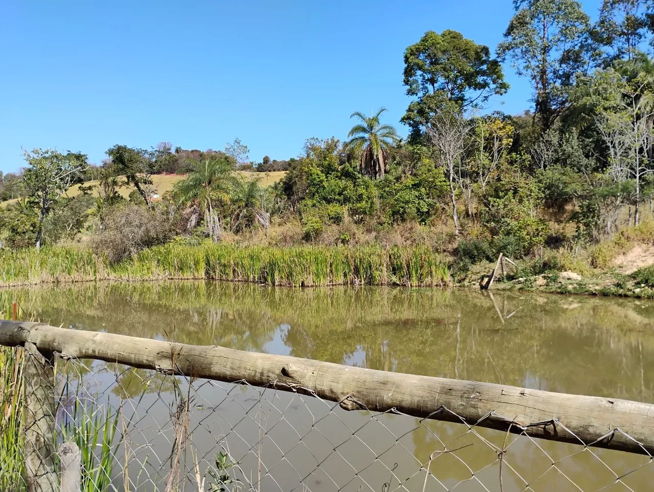 Terreno 5.000 m com lagoa. - Foto 4