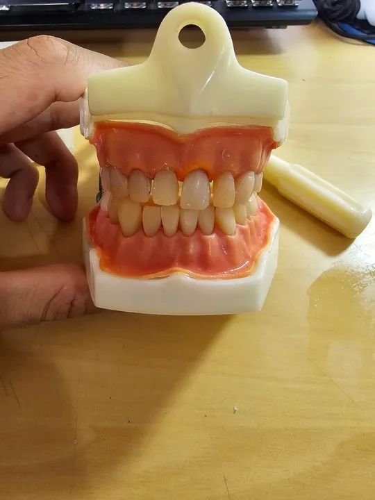 Manequim DENTÍSTICA e PRÓTESE - Foto 2