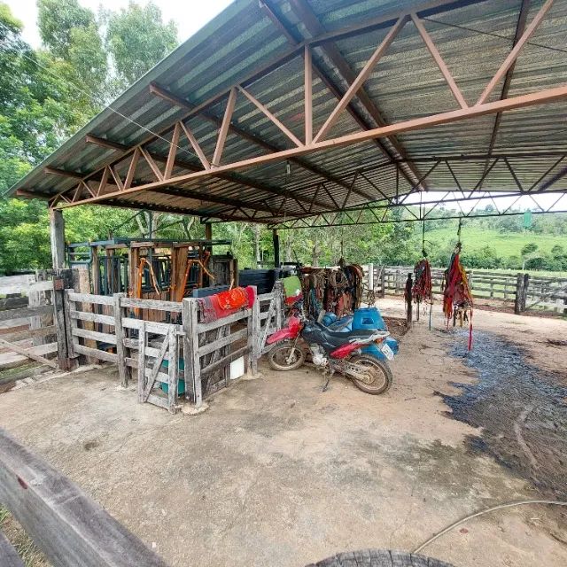 Fazenda 35 Alq | 3 Represas + Córrego | Estruturada | Pronta p/ Produção - Foto 5