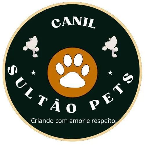 Canil Sultão Pets - Filhotes de Poodle